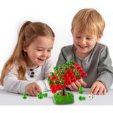 Kurbağa Denge Oyunu Kurbağa Denge Ağacı Oyunu Kutu Oyunu Eğitici Oyuncak