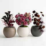 Küre Saksı 3'lü Set - Su Sızdırmaz Dekoratif Salon ve Balkon Saksısı Hediyelik Çiçeklik Seti (Beyaz, Antrasit, Mocha,Orta Boy)