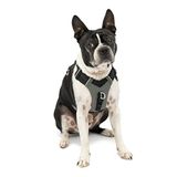 Kurgo Journey Air köpek koşum takımı, dolgulu göğüs kısmı ve sırtlı, 2-5 kg köpekler için, XS beden, siyah/gri