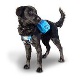 Kurgo Köpek Eyer Çantası Sırt Çantası, Sırt Çantası Köpek Koşum, Köpekler için Yürüyüş Paketi, Evcil Hayvan Giymek için Paketler, Kamp ve Seyahat Yeleği Koşum, Yansıtıcı, Hafif, Baxter Paketi, Orta ve