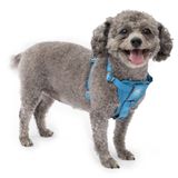 Kurgo Köpek koşum takımı | evcil hayvan yürüyüş koşumu | No Pull Harness ön klips fonksiyonu antrenman için dahil | otomatik emniyet kemeri | TRU-Fit hızlı kilit tarzı | küçük | mavi