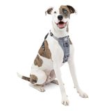 Kurgo Köpek koşum takımı | Pet Walking koşum takımı | No Pull koşum ön klips fonksiyonu antrenman için | araç emniyet kemeri | TRU-Fit Quick Release Style | Medium | Gri