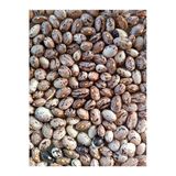 Kurmeysan 1 kg Ata Tohumu Yerli Çilli Barbunya