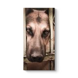 Kurt Köpeği Tablosu 40 x 80