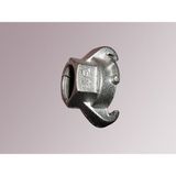 Kurtağzı Rekor (Dişi) - 1/2"