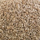 Kurtuluş Kuruyemiş 500 gr Çiğ İç Ayçekirdeği
