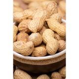 Kurtuluş Kuruyemiş Çiğ Kabuklu Fıstık 500gr.