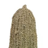 Kuru Bamya Çiçek 100 Gr