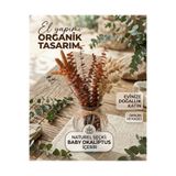 Kuru Çiçek Deposu Turuncu Baby Okaliptus ve Pamuk Otu Aranjman Çiçek - En Şık Ev Hediyesi