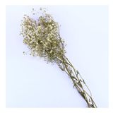 Kuru Çiçek Doğal Kurutulmuş Çiçek Doğal Cipso 40 CM 20 GR Natural