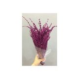Kuru Çiçek Fuşya Lavanta Demeti Buketi Şoklanmış 40-50 Cm