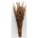 Kuru Çiçek Gerçek Şoklanmış Lavanta Turuncu (100Gr)