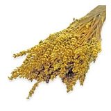 Kuru Çiçek Şoklanmış Lavanta Hardal 100 Gr