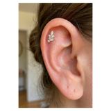 kurukafagift Yaprak Figürlü Zirkon Taşlı Piercing Çelik Helix Tragus Lob Kıkırdak 8 mm
