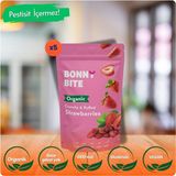 KURUTULMUŞ ÇITIR ÇİLEK ATIŞTIRMALIĞI 5'Lİ PAKET (18GR*5) - 1 Adet