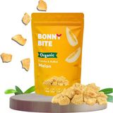 KURUTULMUŞ ÇITIR KAVUN ATIŞTIRMALIĞI (18gr) - 1 Adet