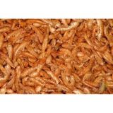 Kurutulmuş Gmarus Kurutulmuş Karides 50 G.
