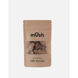 Kurutulmuş Trüf Mantarı (10 g)