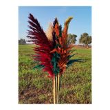 KurutulmusRenkler Kuru Çiçek Şoklanmış Pampas