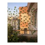 Kuş Filesi 2,5X15 Metre Balkon Filesi Kuş Önleme Ağı