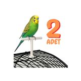 Kuşarkadaşım Kafes Üstü T Tünek 2 Adet Muhabbet Kuşu & Sevda/Cennet & Sultan Papağanı