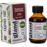Kuşburnu Çekirdeği(Rosa Canina Seed) Yağı 100ml