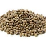 Kuşlar İçin Kenevir Tohumu Cedene 150 Gr