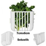 Kuşlar İçin Sebzelik