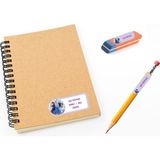 Kutu Ambalaj Okul Etiketi Defter, Kalem Sticker Elsa Frozen 112 Adet