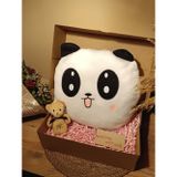 Kutulu Hediye Seti / Panda Yastık 35cm ve Ayıcık Anahtarlık