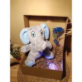 Kutulu Hediye Seti / Peluş Fil 24cm - Renk Değiştiren Işıklı Anahtarlık - Sonsuzluk Gülü