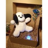 Kutulu Hediye Seti / Peluş Köpek 24cm - Renk Değiştiren Işıklı Anahtarlık - Sonsuzluk Gülü