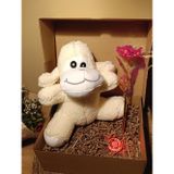 Kutulu Hediye Seti / Peluş Kuzu 24cm - Renk Değiştiren Işıklı Anahtarlık - Sonsuzluk Gülü