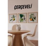 Kututr Bitki Ve Meyve İllüstrasyonlu 3’Lü Tablo Seti Şık Ahşap Çerçeve İle Kr4064,Çerçeveli Kr4064 23 X 23