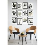 Kututr Dekorize Mdf Tablo Seti 12 Parça 3 Mm Botanik Salon Oturma Mutfak Odası İçin Duvar Dekoru Bt1,Renkli 30 X 40