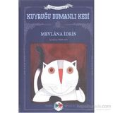 Kuyruğu Dumanlı Kedi - Mevlana İdris