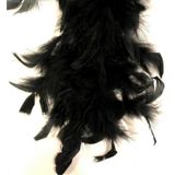 Kuzey 100 Adet Siyah Kuş Tüyü Black Bırd Feather Siyah Şeffaf Balon Tüyü Dekoratik Siyah Süsleme Tüyü