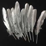 Kuzey 10Adet Metalik Parlak Gümüş Kuş Tüyü Gümüş Kuş Tüyü Decorsilver Bırd Feather Gümüş Şeffaf Balon Tüyü