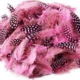 Kuzey 50 Adet Puantiyeli Pembe Siyah Kuş Tüyü Pembe Kuş Tüyü Pink Bırd Feather Pembe Şeffaf Balon Tüyü