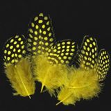 Kuzey 50 Adet Puantiyeli Sarı Siyah Kuş Tüyü Sarı Kuş Tüyü Yellow Bırd Feather Sarı Şeffaf Balon Tüyü