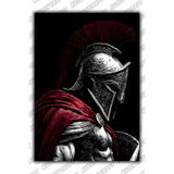 Kuzey Craft Metal Poster Duvar Tablosu Özel Tasarım Hediye Parlak HD Baskı Premium Dekor