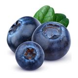 Kuzey Tropik Yerli Blueberry (Yaban Mersini) 125 gr