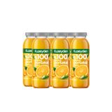 KUZEYDEN %100 Sıkma Portakal Suyu | 6x250ml | İlave şeker, katkı ve koruyucu madde içermez | 6 Adet
