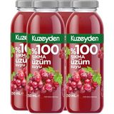 Kuzeyden %100 Sıkma Üzüm Suyu (4X250ML)