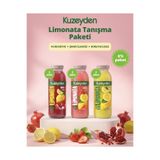 Kuzeyden Limonata Tanışma Paketi | 6X250ML | Ilave Şeker, Katkı ve Koruyucu Madde Içermez | %100 Meyve