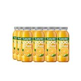 Kuzeyden%100 Sıkma Portakal Suyu 12x250ml