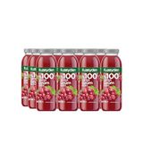Kuzeyden%100 Sıkma Üzüm Suyu 12x250ml