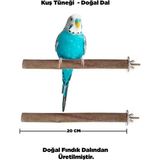 Kuzeylina Doğal Ahşap Kuş Tüneği 20 cm - Gerçek Fındık Dalı