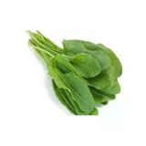 Kuzu Kulağı Tohumu - 5 Gram