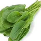 Kuzu Kulağı Tohumu - Aksel 5 gr